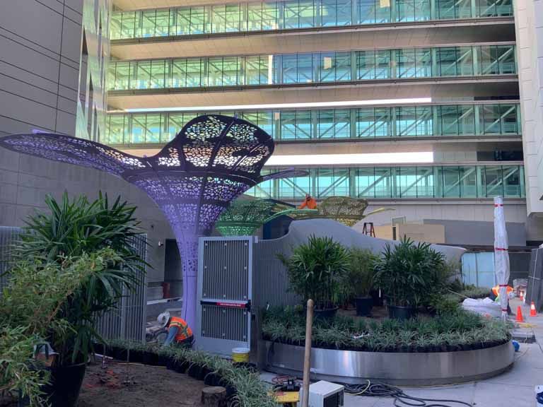 Curved Steel Flower Stem at Cedar Sanai Hospital